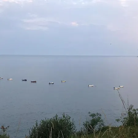 Darnholm 罗宾胡兹贝